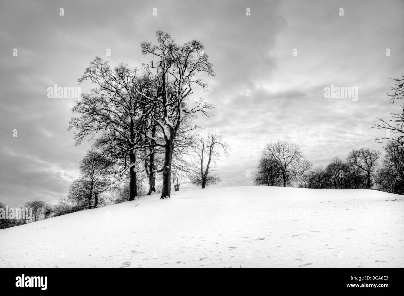 Black and white photo of snow covered scene of rolling hills and trees taken from Cotswold Way near Old Sodbury in winter Stock Photo