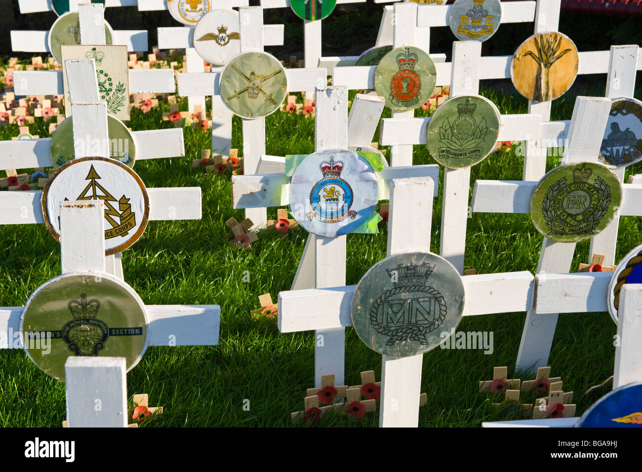 White crosses on Field of Remembrance in Newport South Wales UK Stock Photo