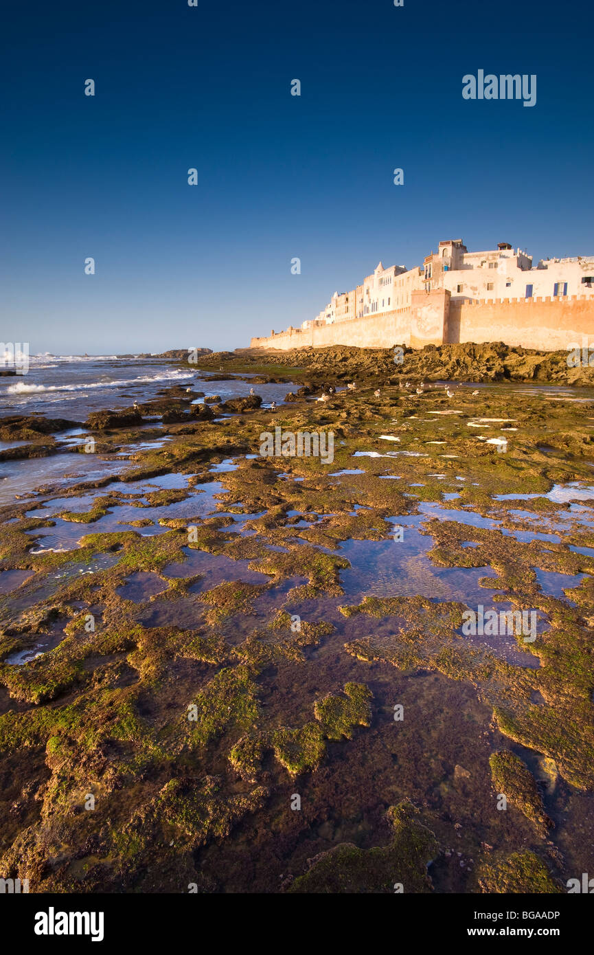 The Medina Essaouira Atlantic Coast Morocco Stock Photo Alamy the-medina-essaouira-atlantic-coast-morocco-stock-photo-alamy
