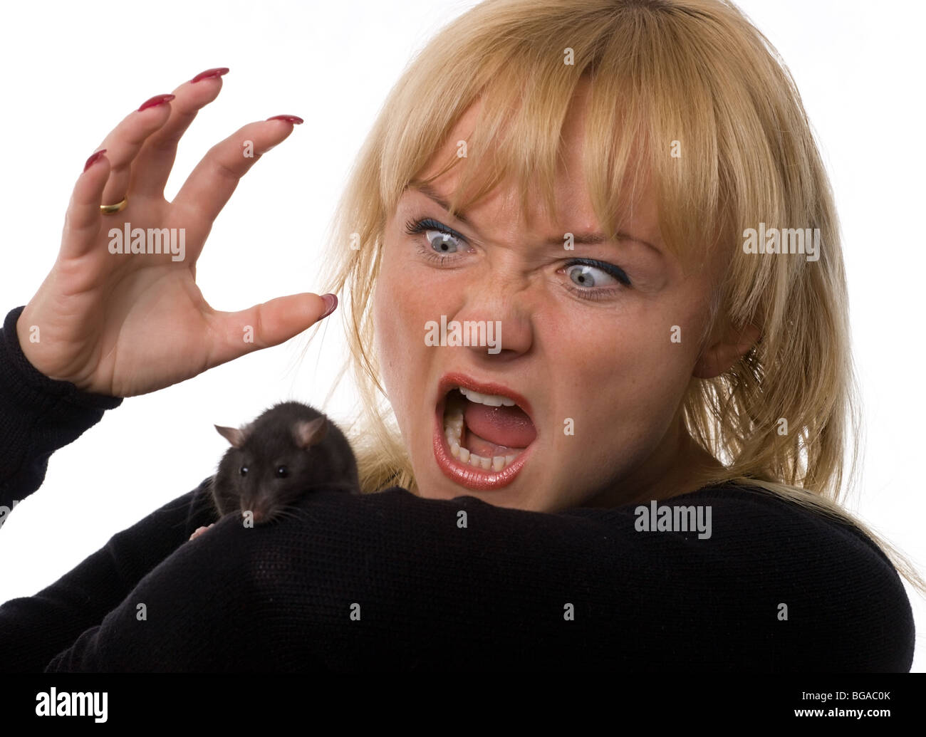 cared woman holding little rat in hands, isolated on white Stock Photo