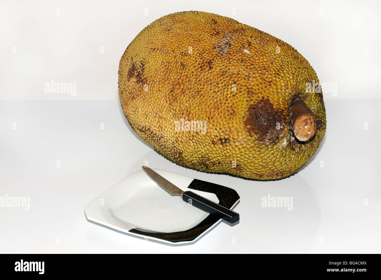 Jackfruit (Artocarpus heterophyllus) with side plate and knife Stock