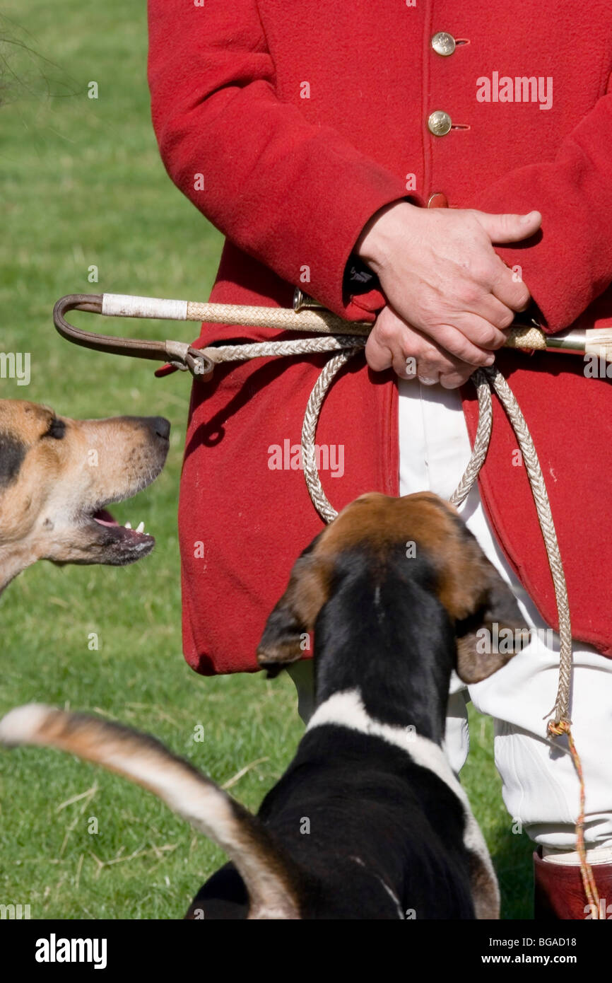 Master of the Hunt - Bowhill, Selkirk, Scotland Stock Photo