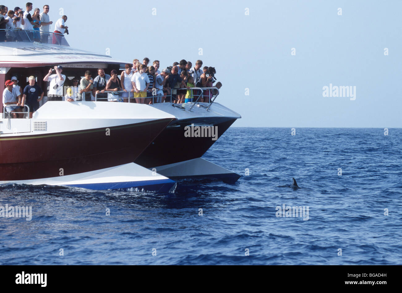 Whale watching excursions hi-res stock photography and images - Alamy
