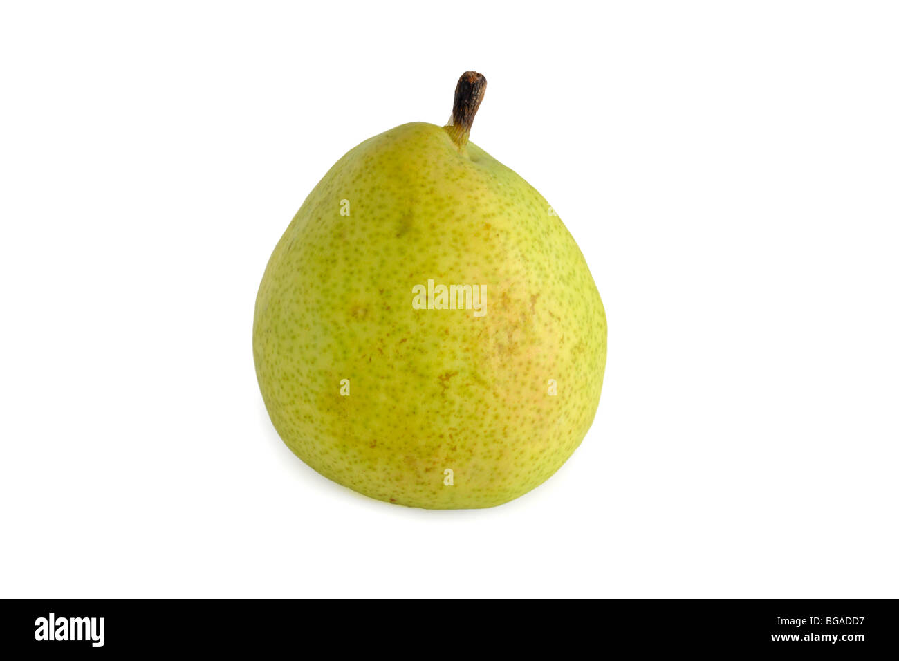 Pear (Pyrus v.) on white background Stock Photo