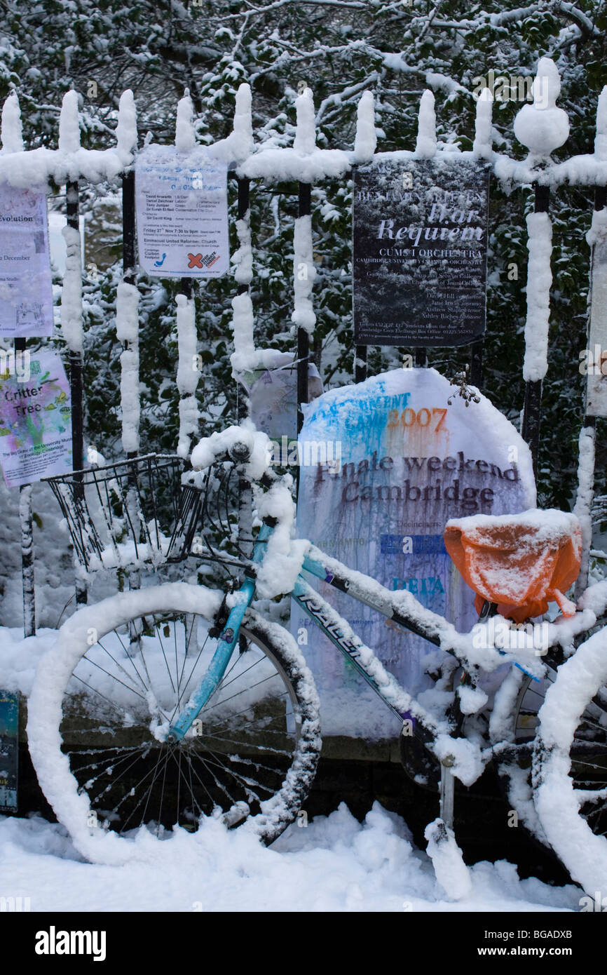 cambridge blue cycles