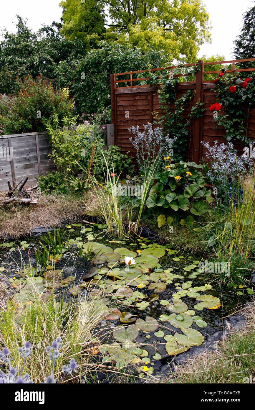 Small wildlife pond uk hires stock photography and images Alamy