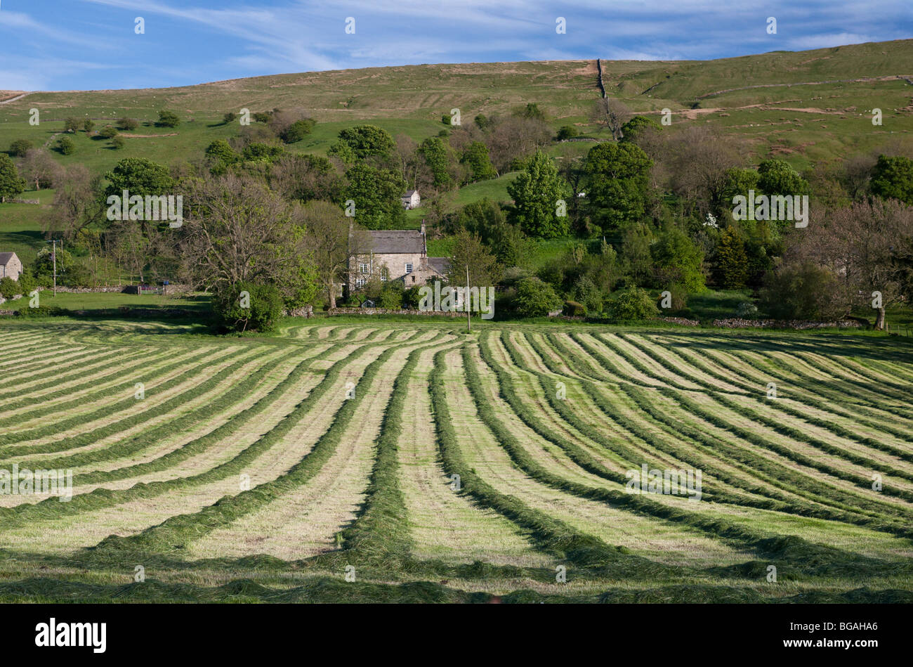 Upper Wharfedale, North Yorkshire, Dales. Stock Photo
