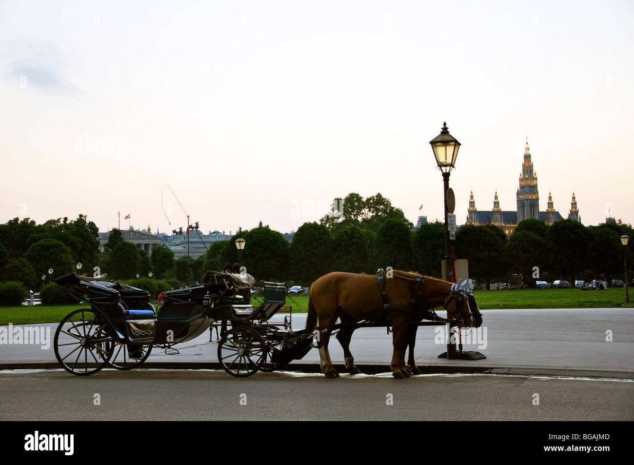 Vienna horse drawn carriage hi-res stock photography and images - Alamy