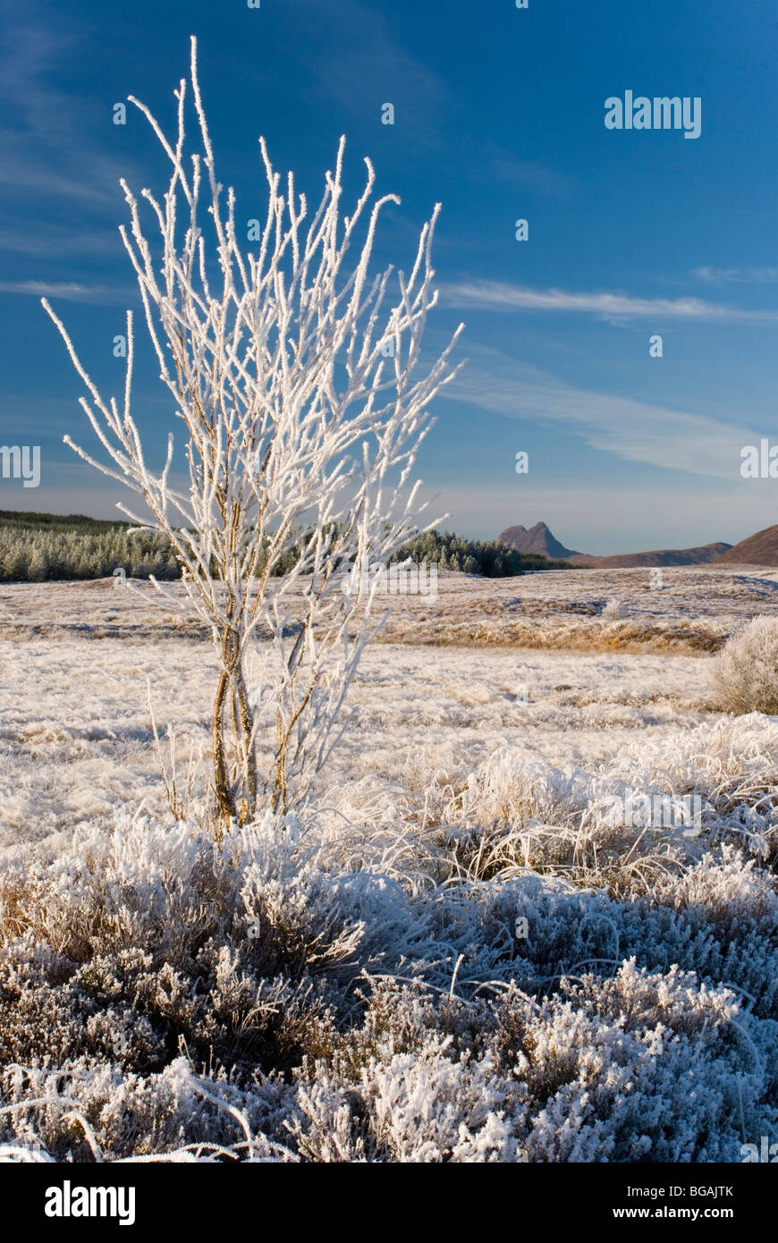 Frosty afternoon at Oykel, Sutherland, Scotland Stock Photo