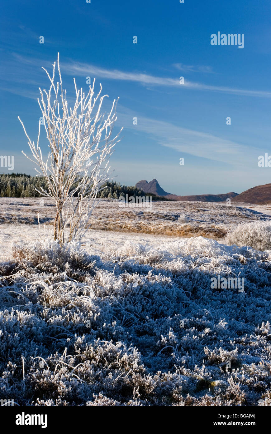 Frosty afternoon at Assynt, Sutherland, Scotland Stock Photo