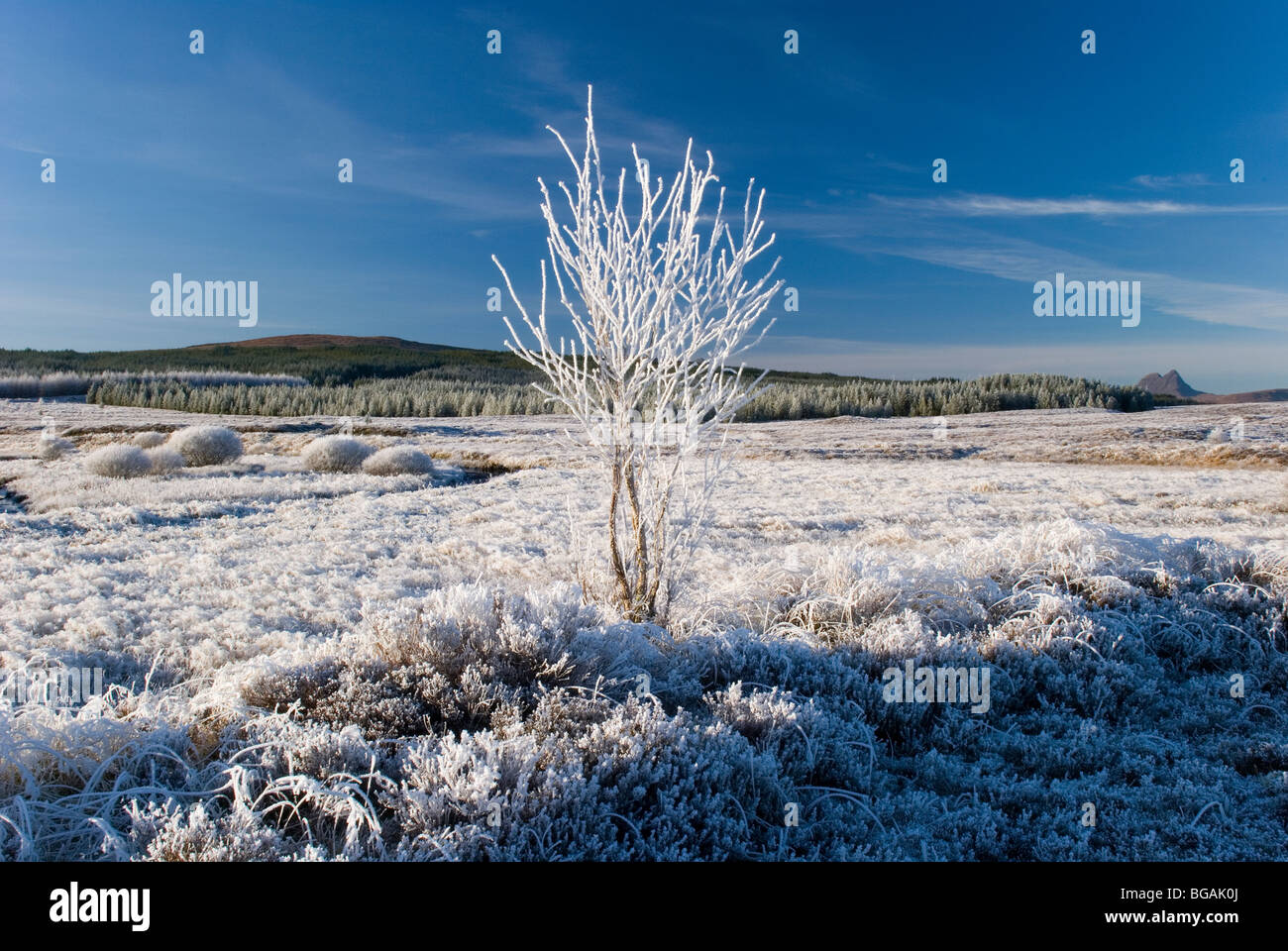 Frosty afternoon at Assynt, Sutherland, Scotland Stock Photo