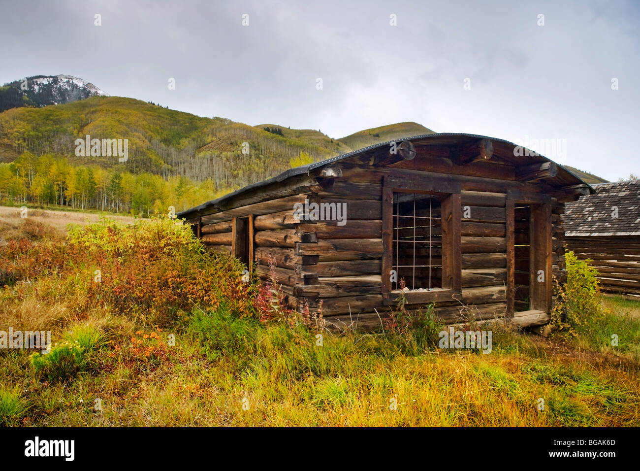 Old log house in Ashcroft Ghost Town along Castle Creek Road, Aspen (CO  Stock Photo - Alamy