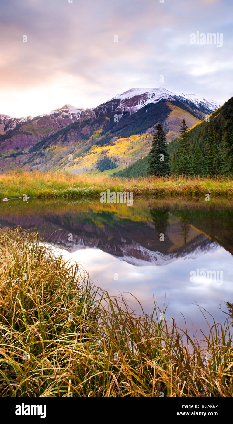 Mountain range reflected in a small altitude lake with clouds colored with the sunrise light and wild grass in the foreground Stock Photo