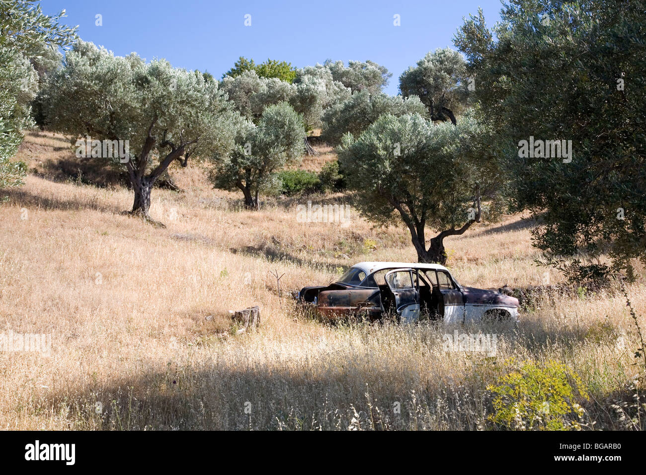Abandoned car in Olive Grove - Greece Stock Photo