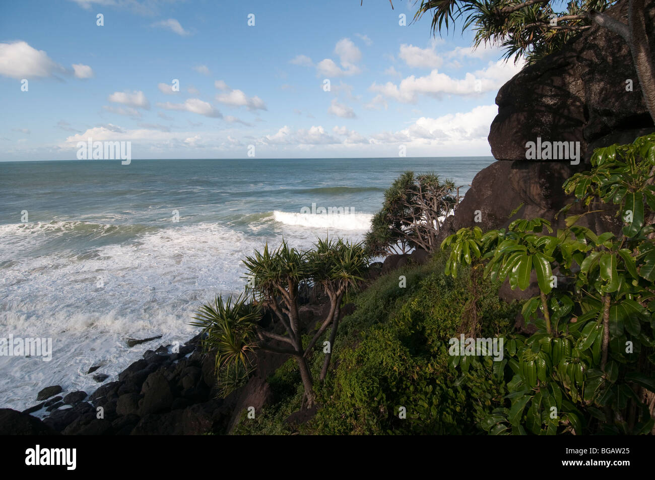 Snapper rocks hi-res stock photography and images - Alamy