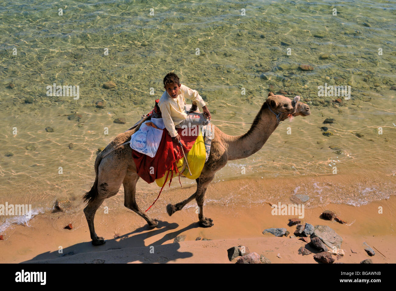 Young Bedouin boy riding camel along surf line of beach Stock Photo - Alamy