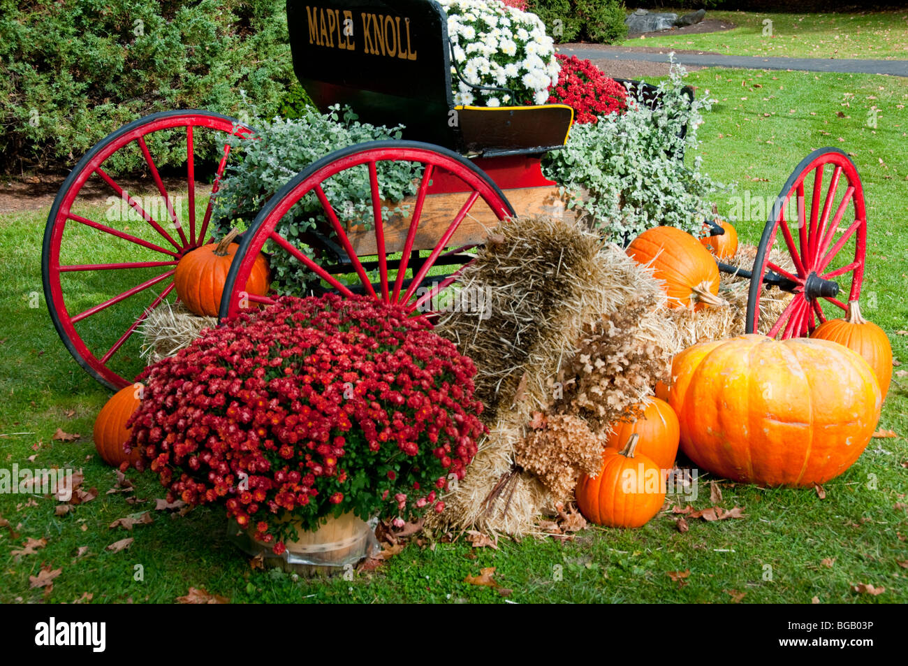 Halloween,Pumpkins,Squash,Corn Husks,Decorations, Masks,Jack o'Lanterns,Display,All Saints Day,Lee Country Club,Massachusetts,USA Stock Photo