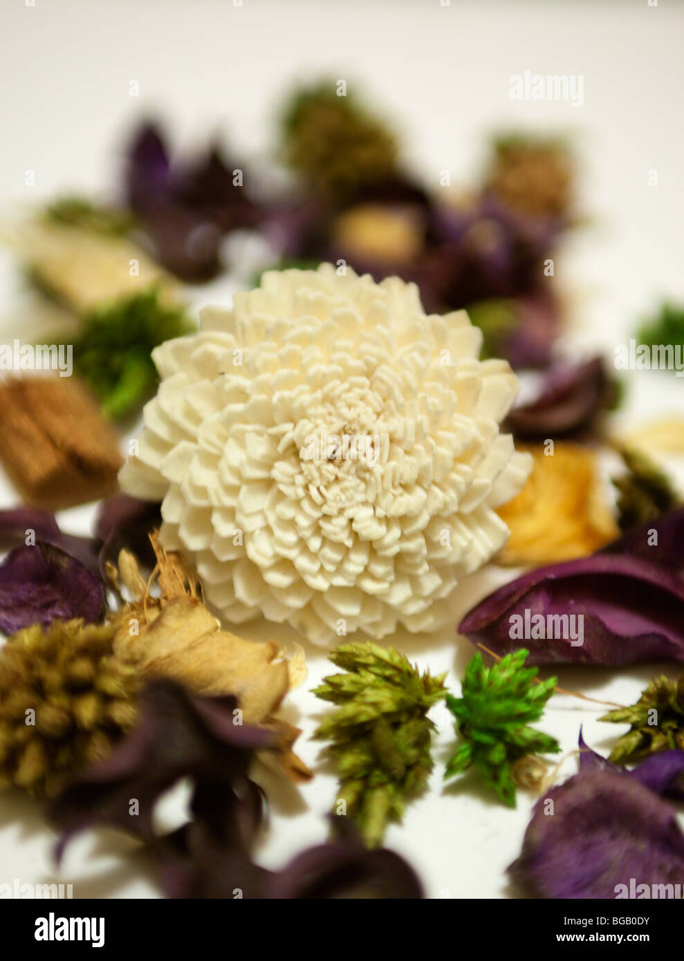 Flower among potpourri Stock Photo Alamy