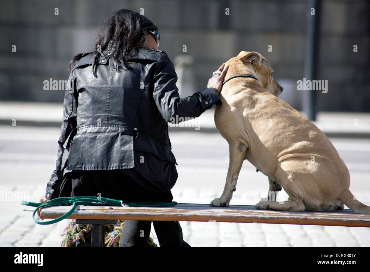 LABRADOR PET, LOVING, WOMAN: A woman caresses her pet dog labrador in Gamla Stan Stockholm Sweden Stock Photo