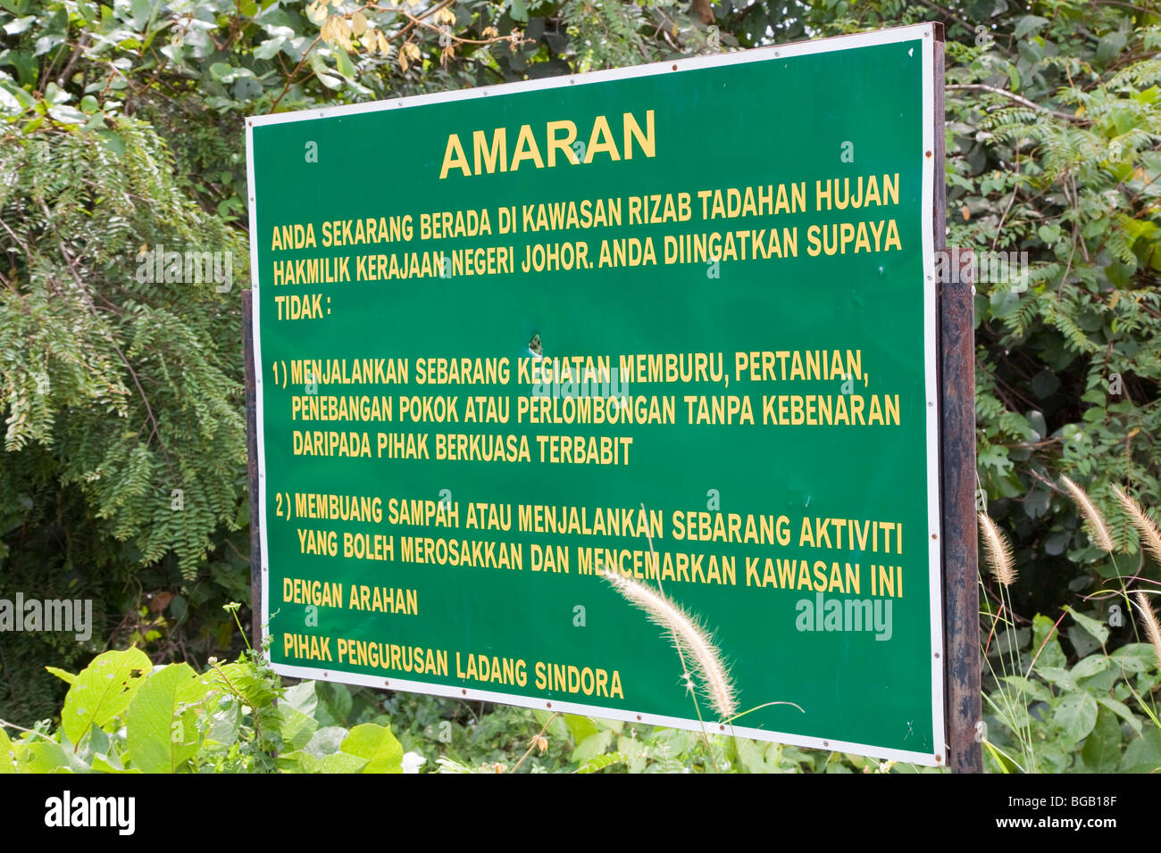 Forested watershed area with protection sign in Malay, the Sindora Palm Oil Plantation Stock Photo