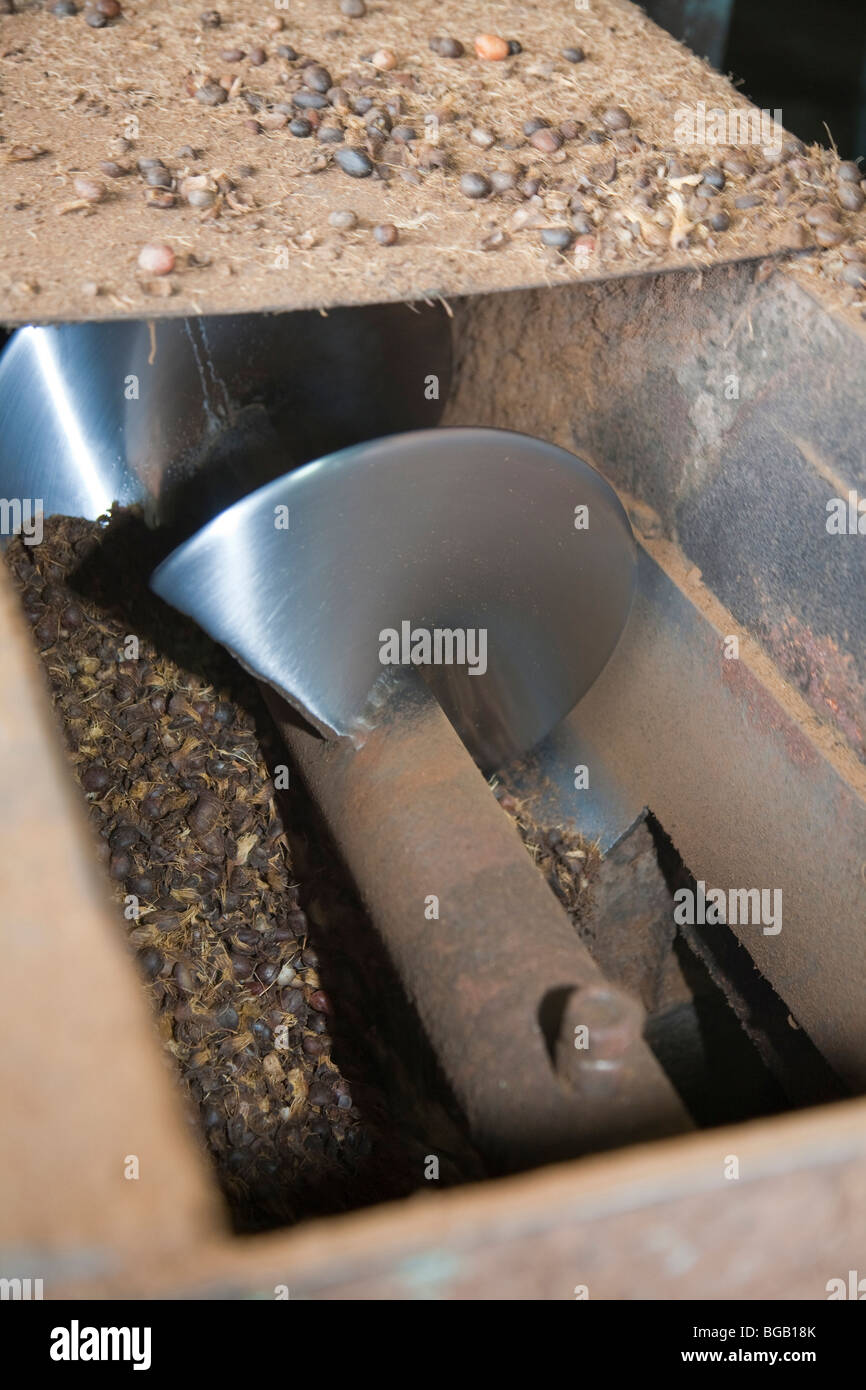 Oil palm kernel shells being crushed in grinder. The Sindora Palm Oil Mill, Johor Bahru, Malaysia Stock Photo