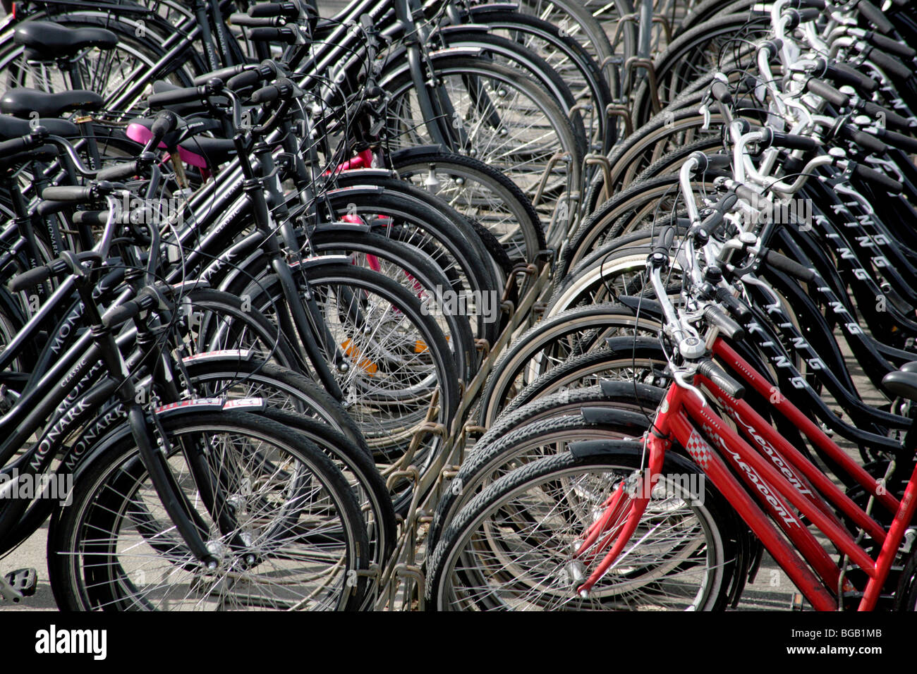TOURIST BIKES, STOCKHOLM: Parked up lines of tourist hire bicycles cycles in Gamla Stan Old Town Stockholm Sweden Stock Photo