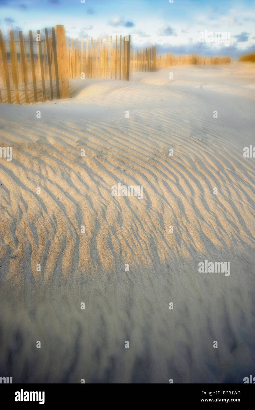 Artistic Sand Dunes With Wind Blown Sand Pattern, Hilton Head Island, USA Stock Photo