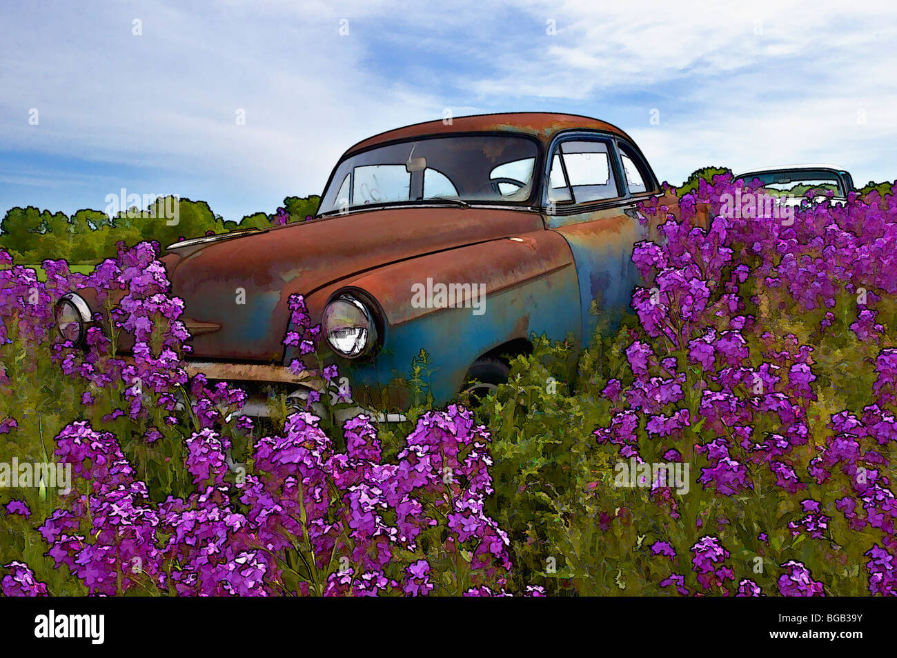 Painting Effect of Old Car (53 Chevy) In Field Of Dame's Rocket (Hesperis matronalis) - Newton, Wisconsin Stock Photo