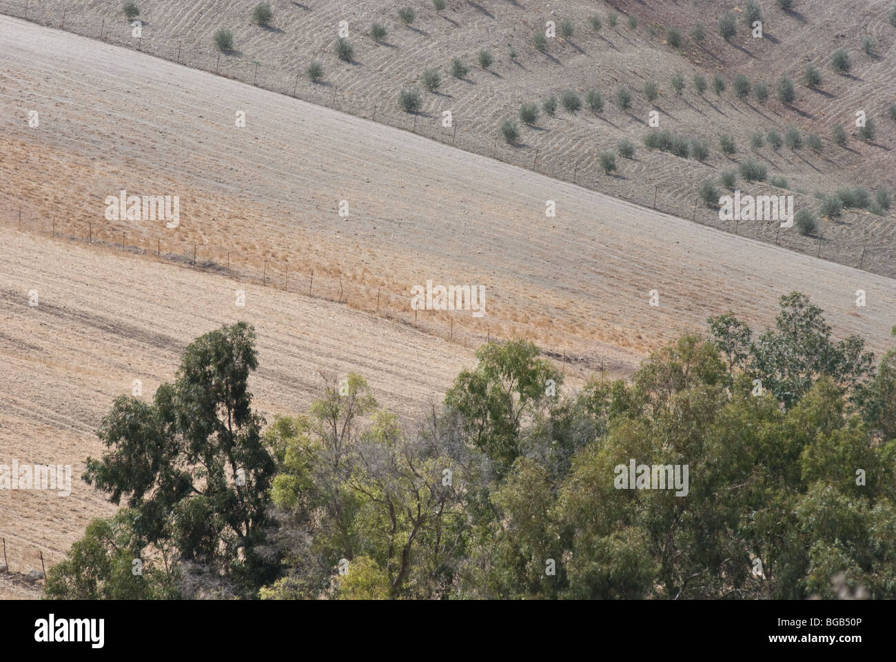 Countryside landscape, Andalucia, Spain Stock Photo
