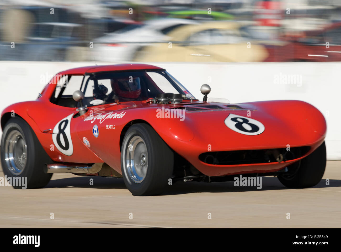 Bill thomas cheetah hi-res stock photography and images - Alamy, image size:1300x960