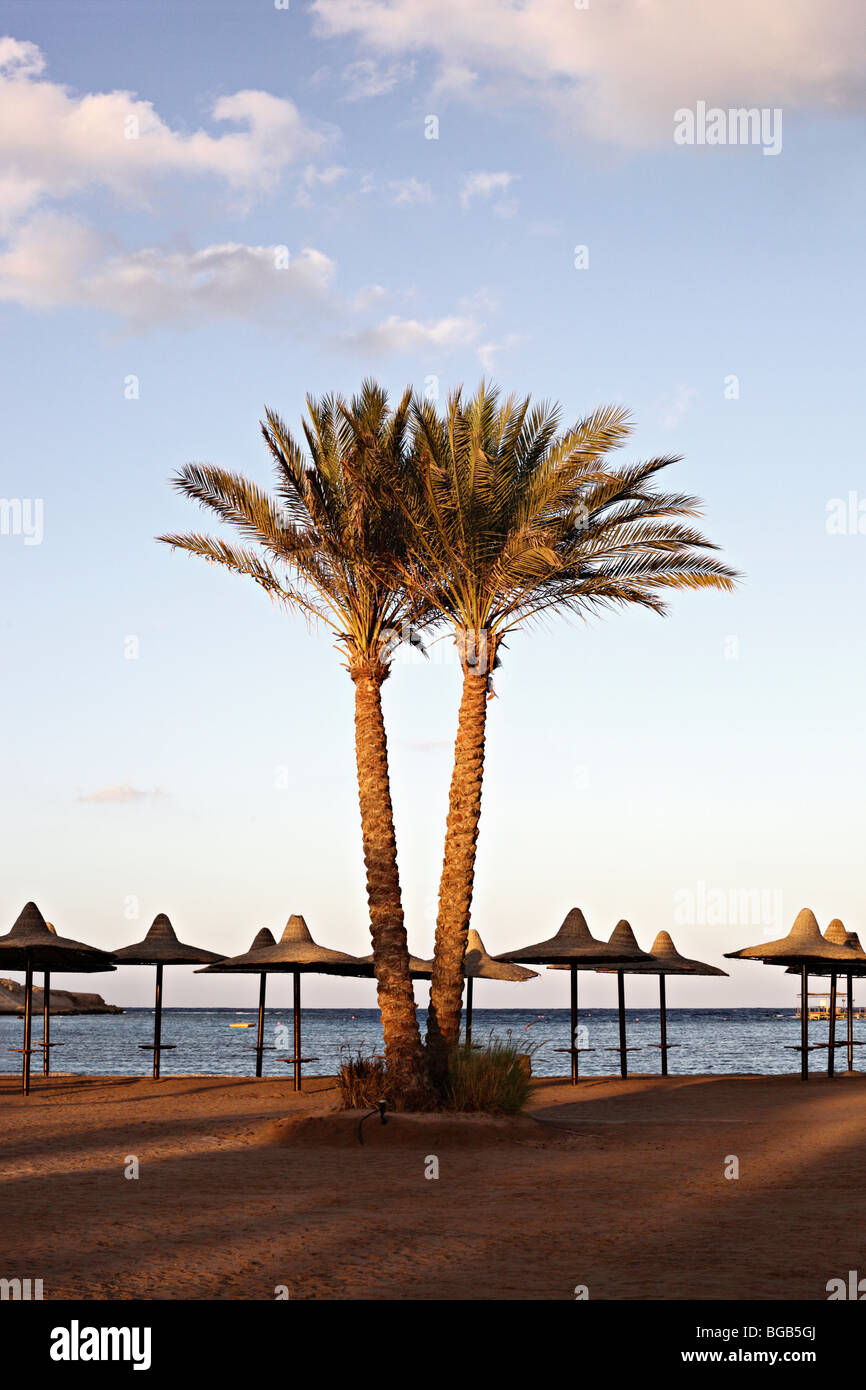 Marsa Alam Coraya Bay