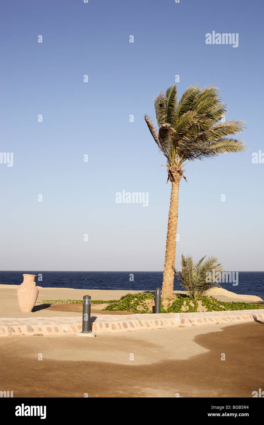 Marsa Alam Coraya Bay
