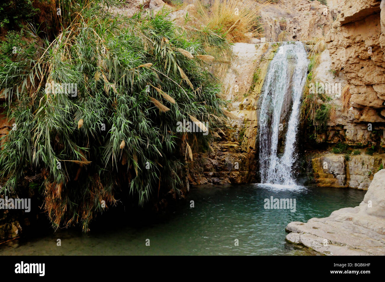 Israel, Dead Sea Ein Gedi national park the lower waterfall in Wadi David Stock Photo