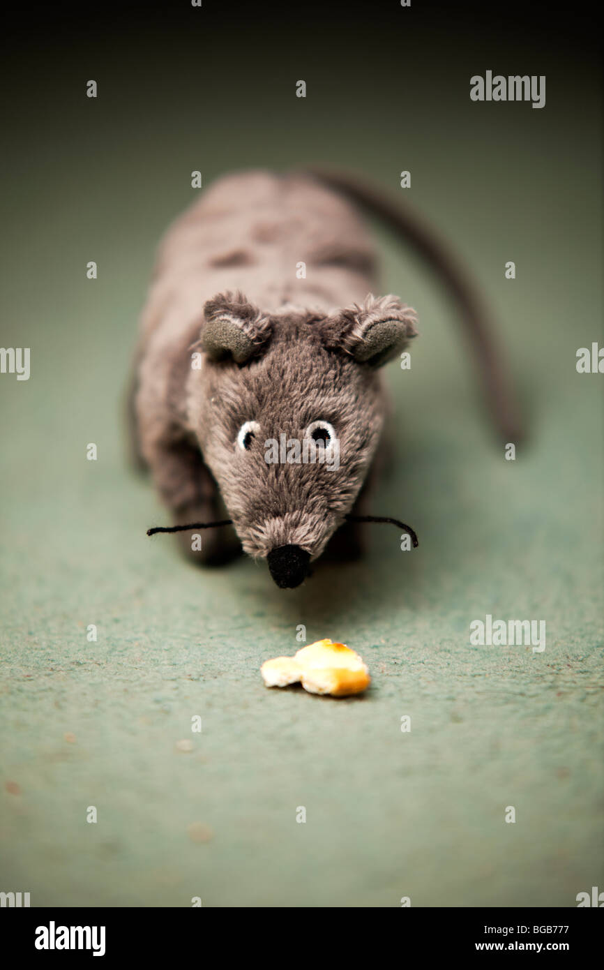 Mouse with cheese Stock Photo Alamy