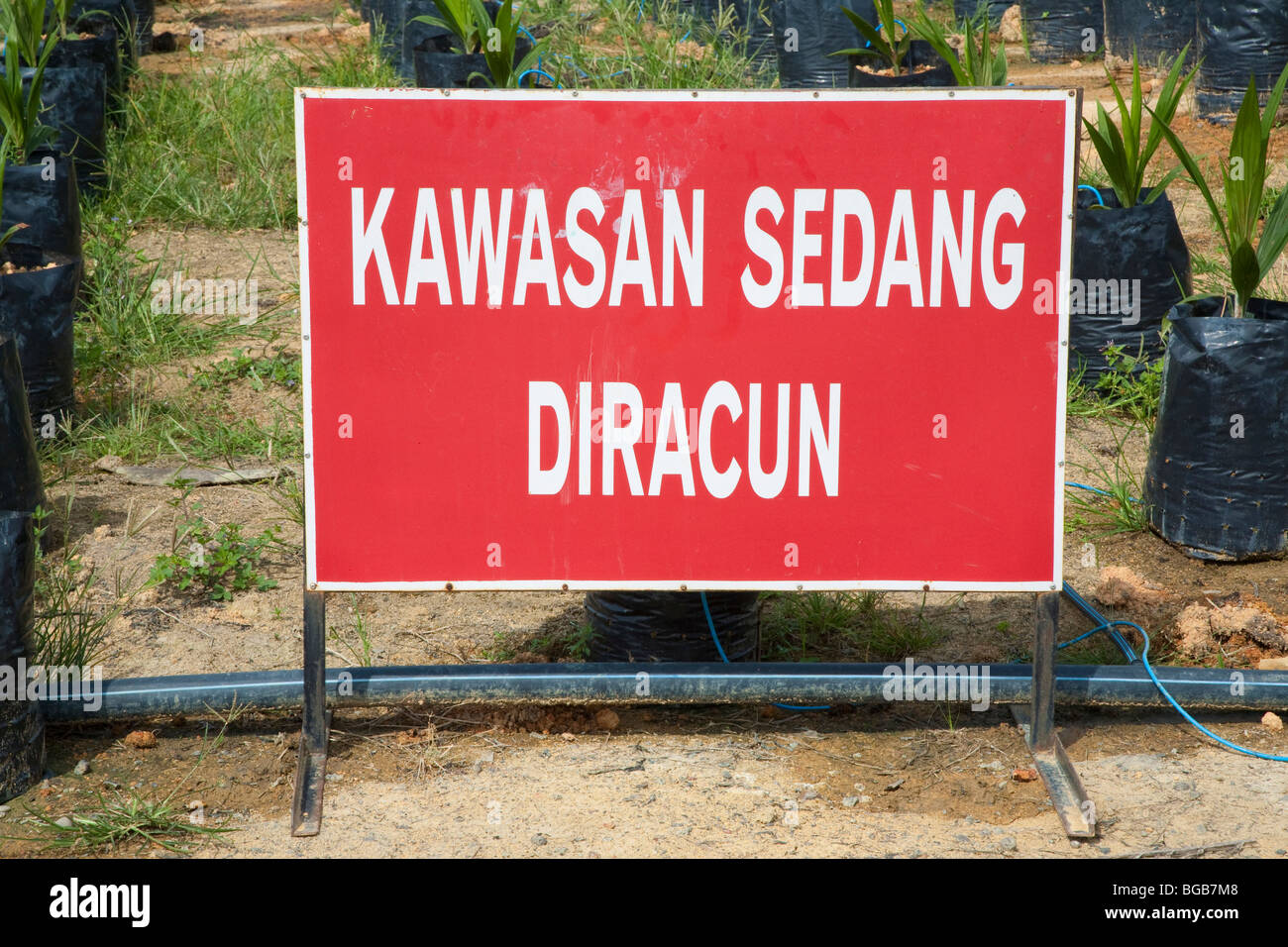 A Malay sign is warning that chemicals are in use in the area. The Sindora Palm Oil Plantation is green certified Stock Photo