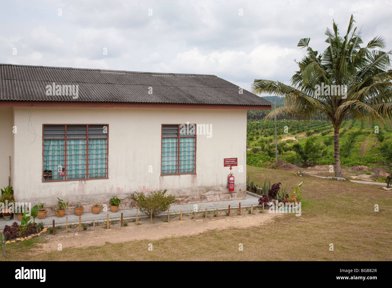 Company supplied housing near plantation. Employees can work towards purchase of their own home. Sindora Palm Oil Plantation. Stock Photo
