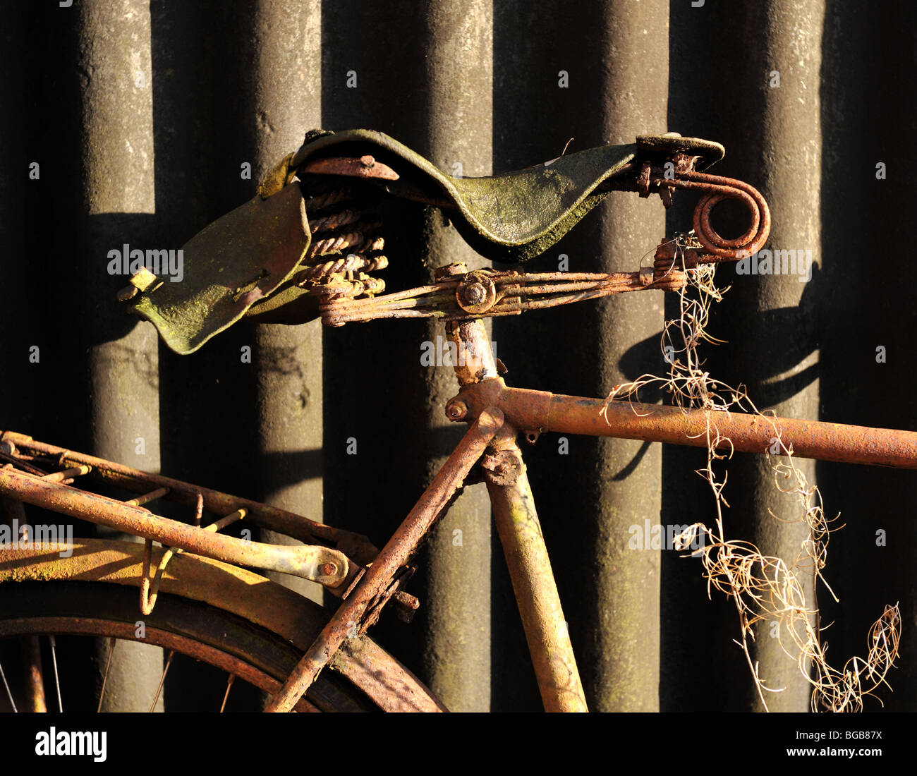 rusting bike, detail Stock Photo