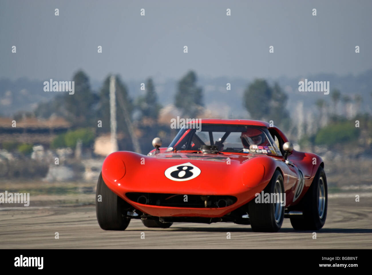 Bill thomas cheetah hi-res stock photography and images - Alamy, image size:1300x960