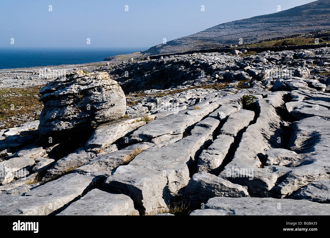 Ireland, County Clare, The Burren. Single boulder in karst limestone