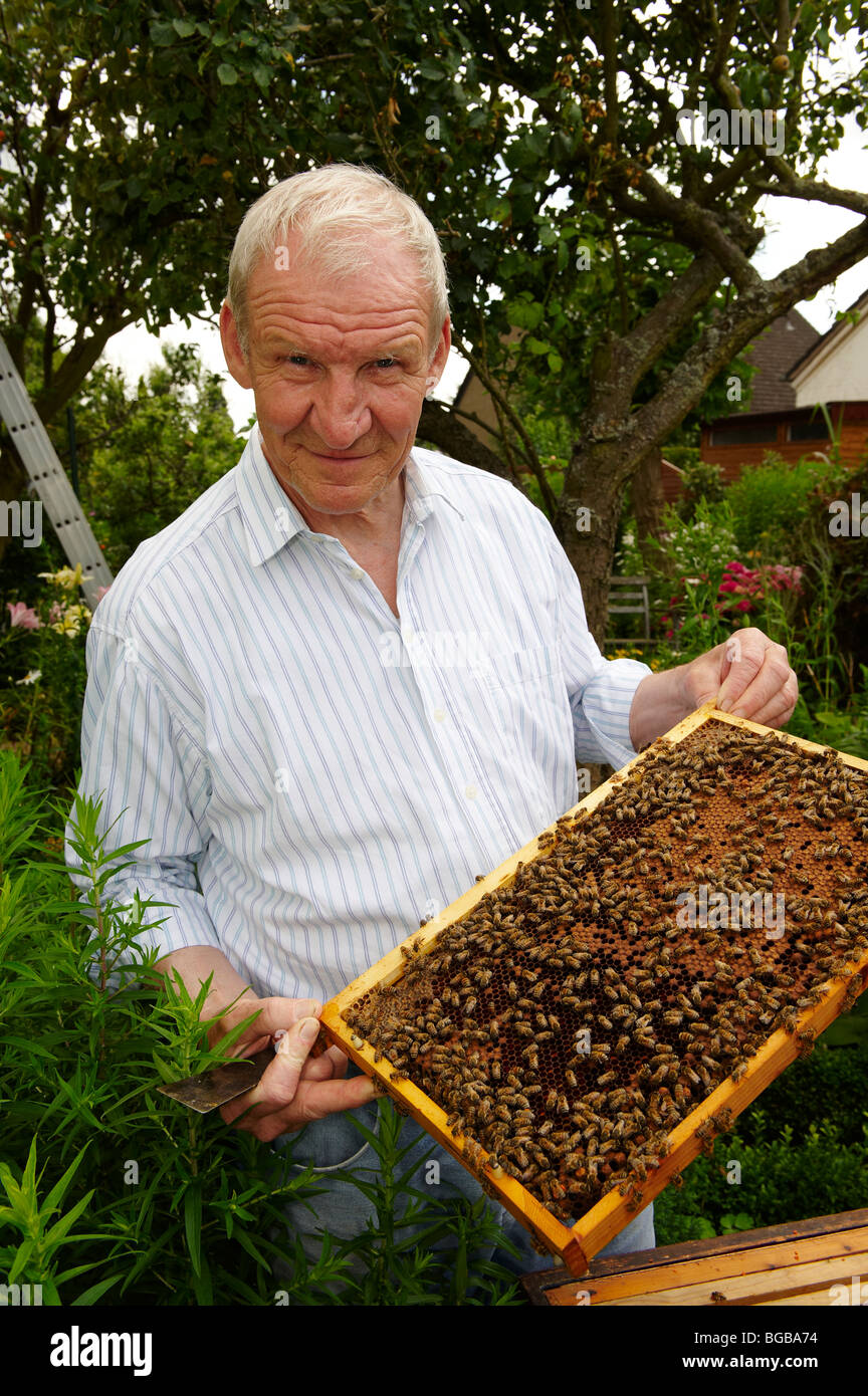 beekeeper with honeycombs of his honeybees, Dueren, Germany, Europe Stock Photo