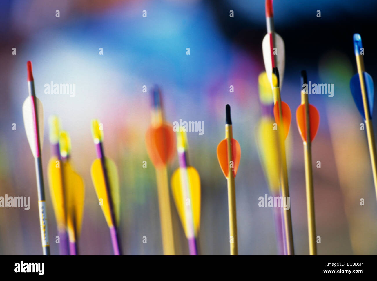 Archery Arrows High Resolution Stock Photography and Images - Alamy