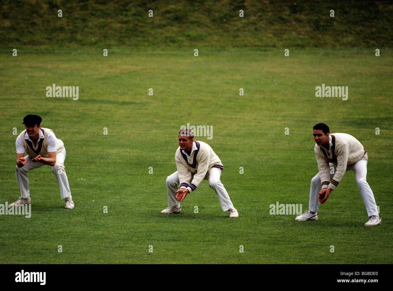 Wicket keeper about to catch ball hires stock photography and images