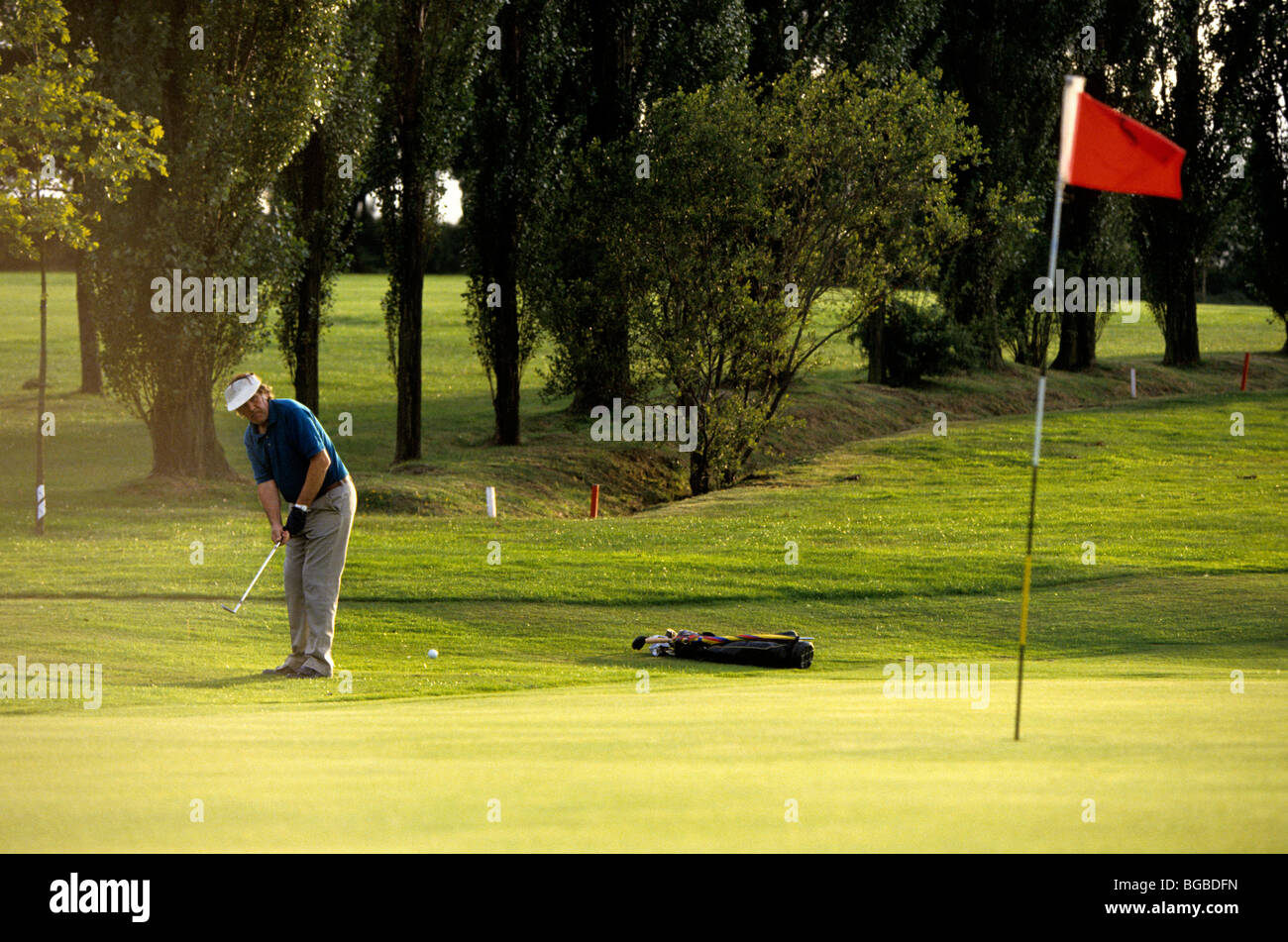 Golfer putting on the green Stock Photo Alamy