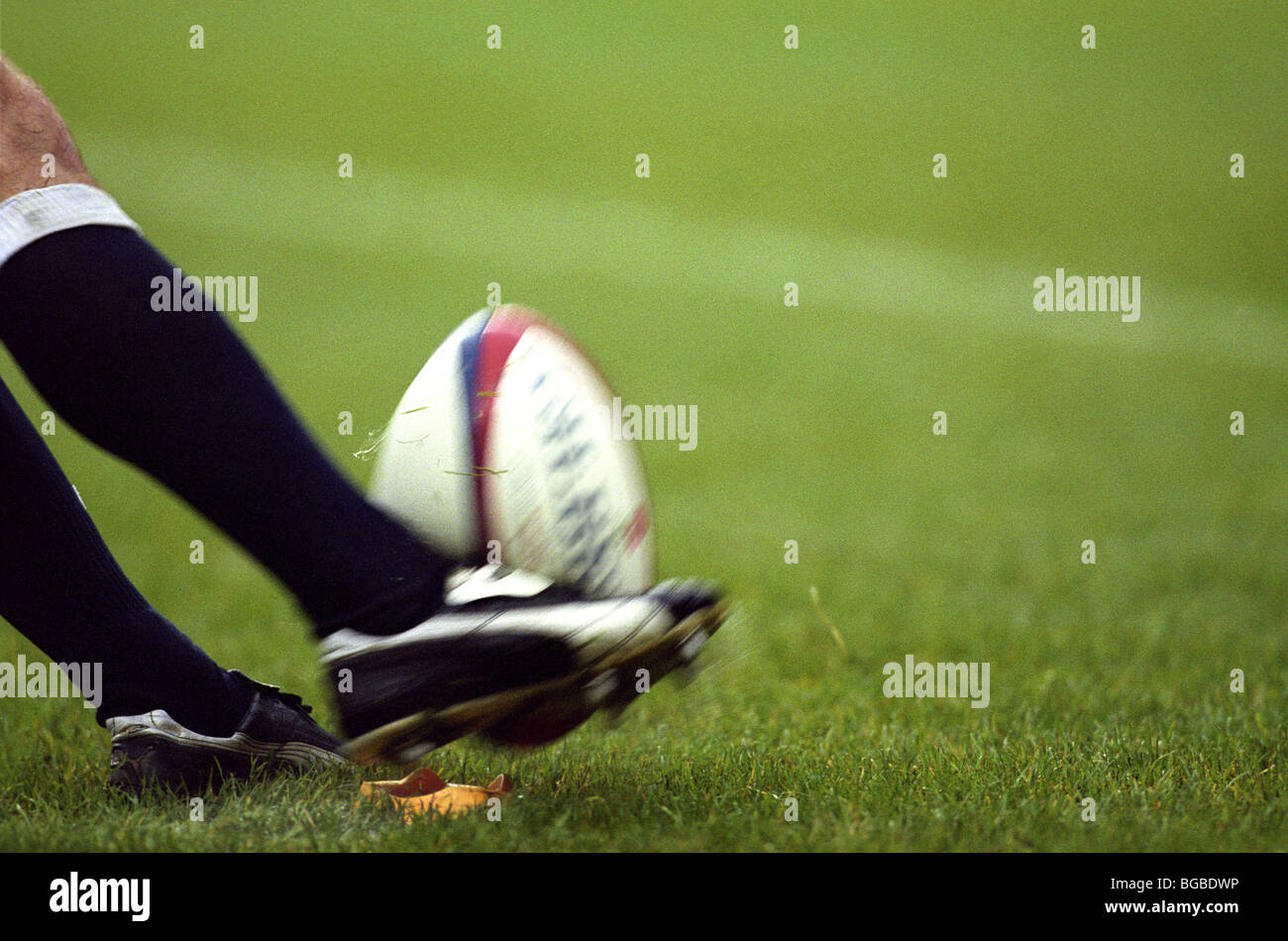 Rugby Player Kicking Ball Stock Photos & Rugby Player Kicking Ball