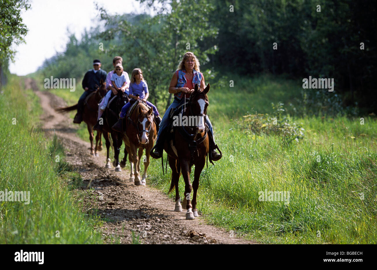 Family of horse riders on a wooded trail Stock Photo - Alamy