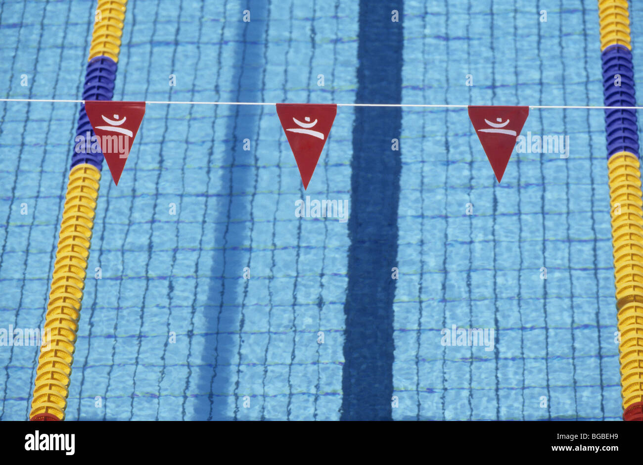 Competitive swimming pool with lane markers and flags Stock Photo Alamy