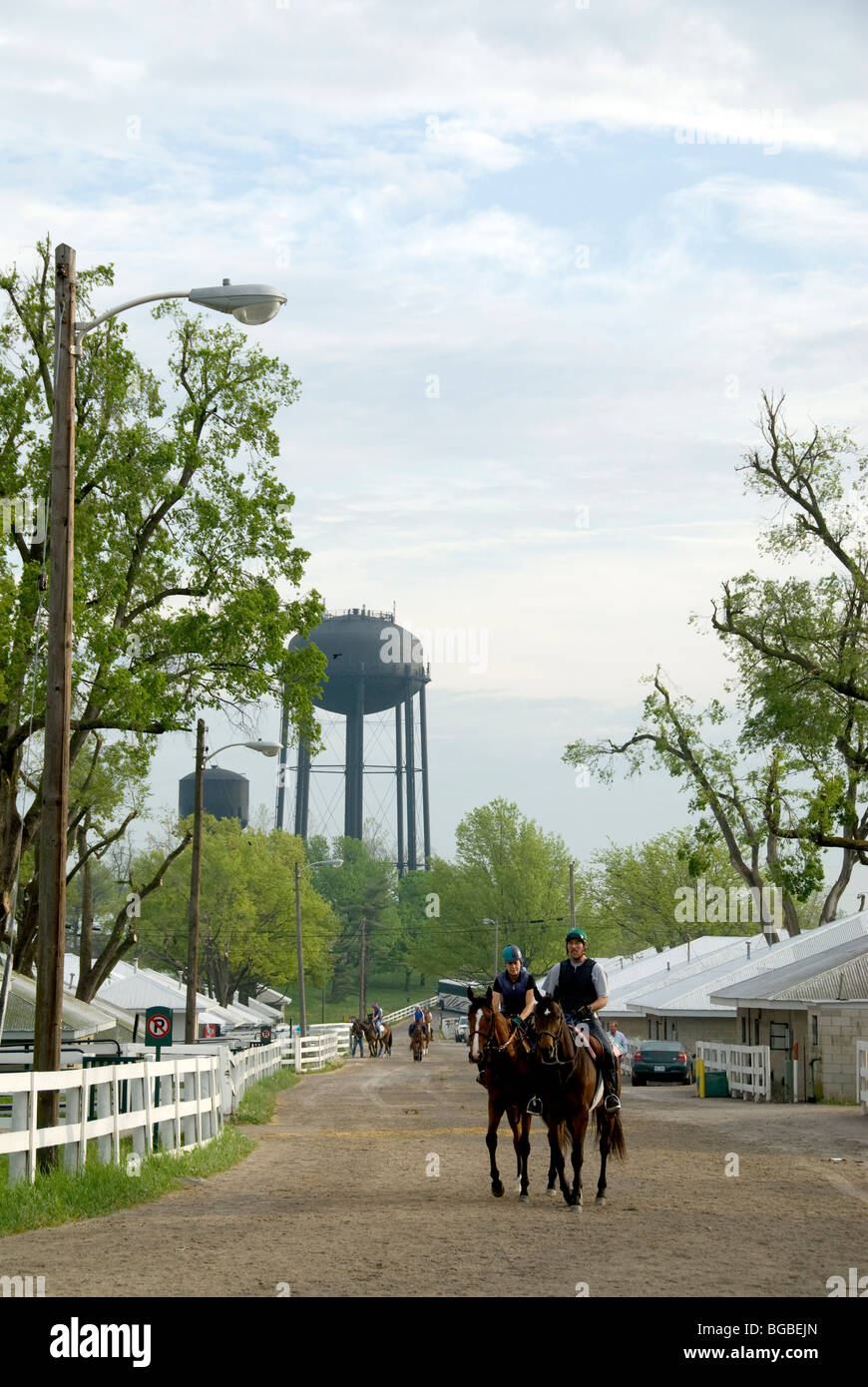 Horses after early morning work-out at Keeneland Race Track, Lexington, Kentucky Stock Photo