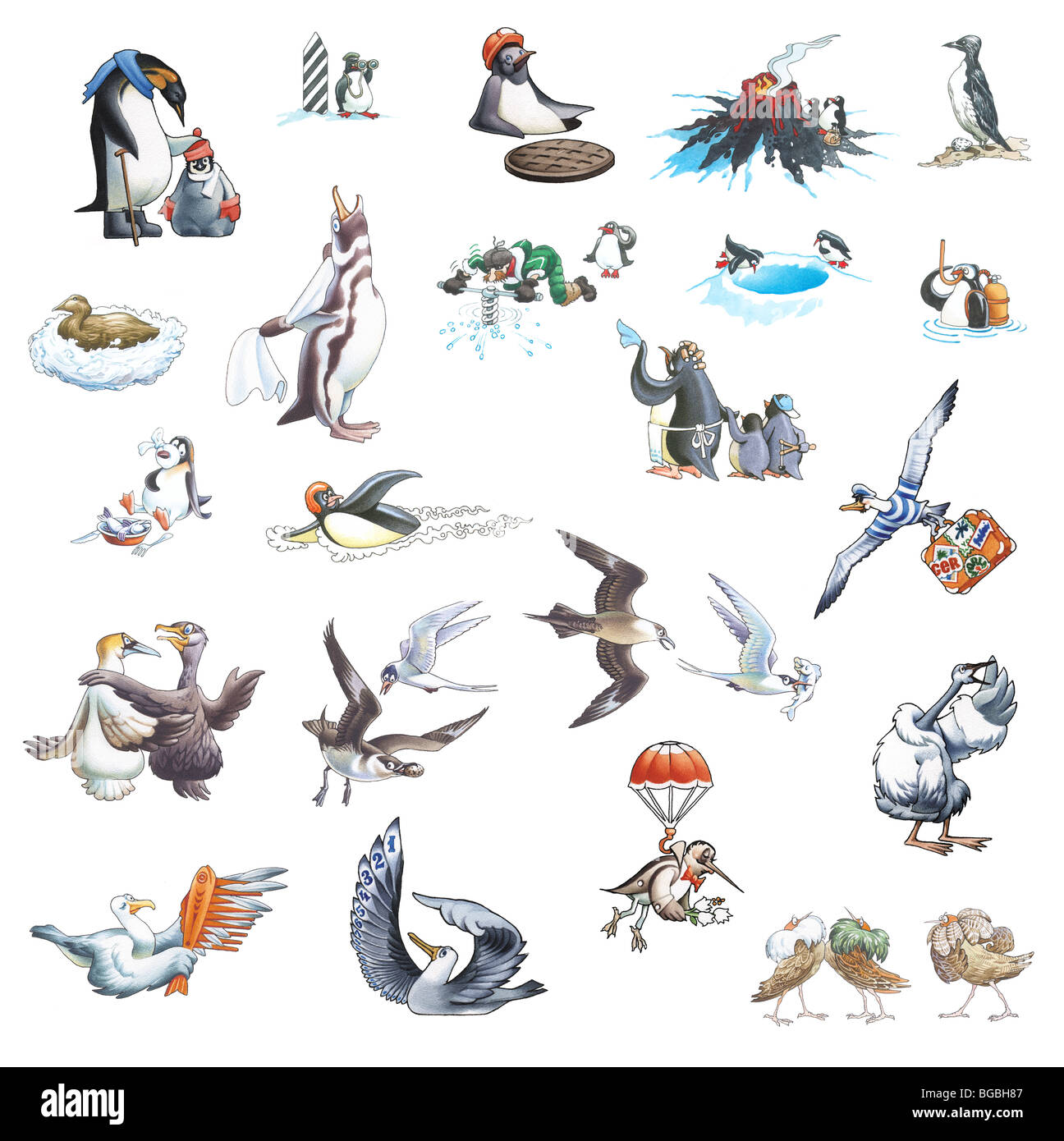 Many cartoons about waterfowls Stock Photo