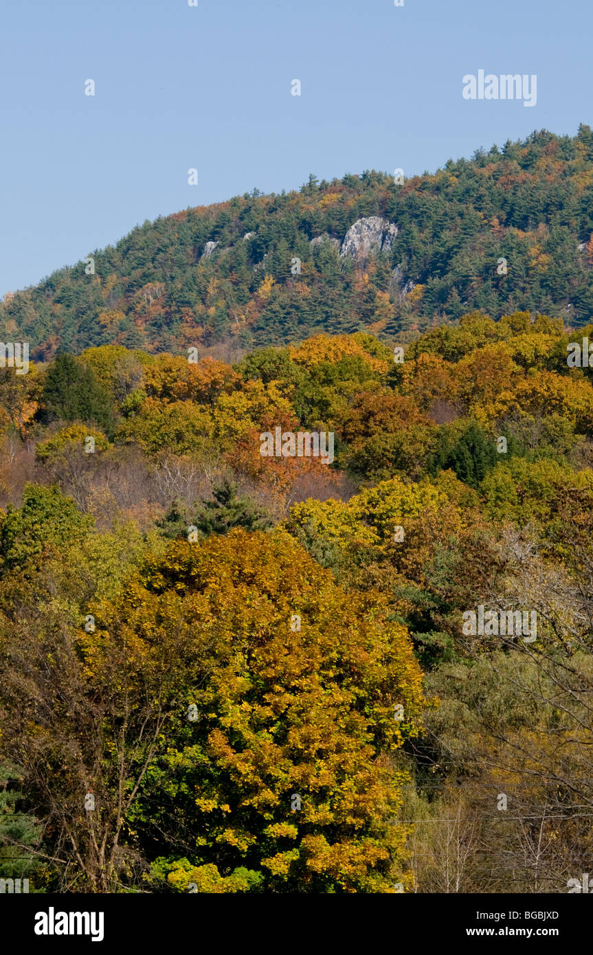 Fall Colours,Color,Autumn Color,Seasonal,The Berkshires,Massachusetts