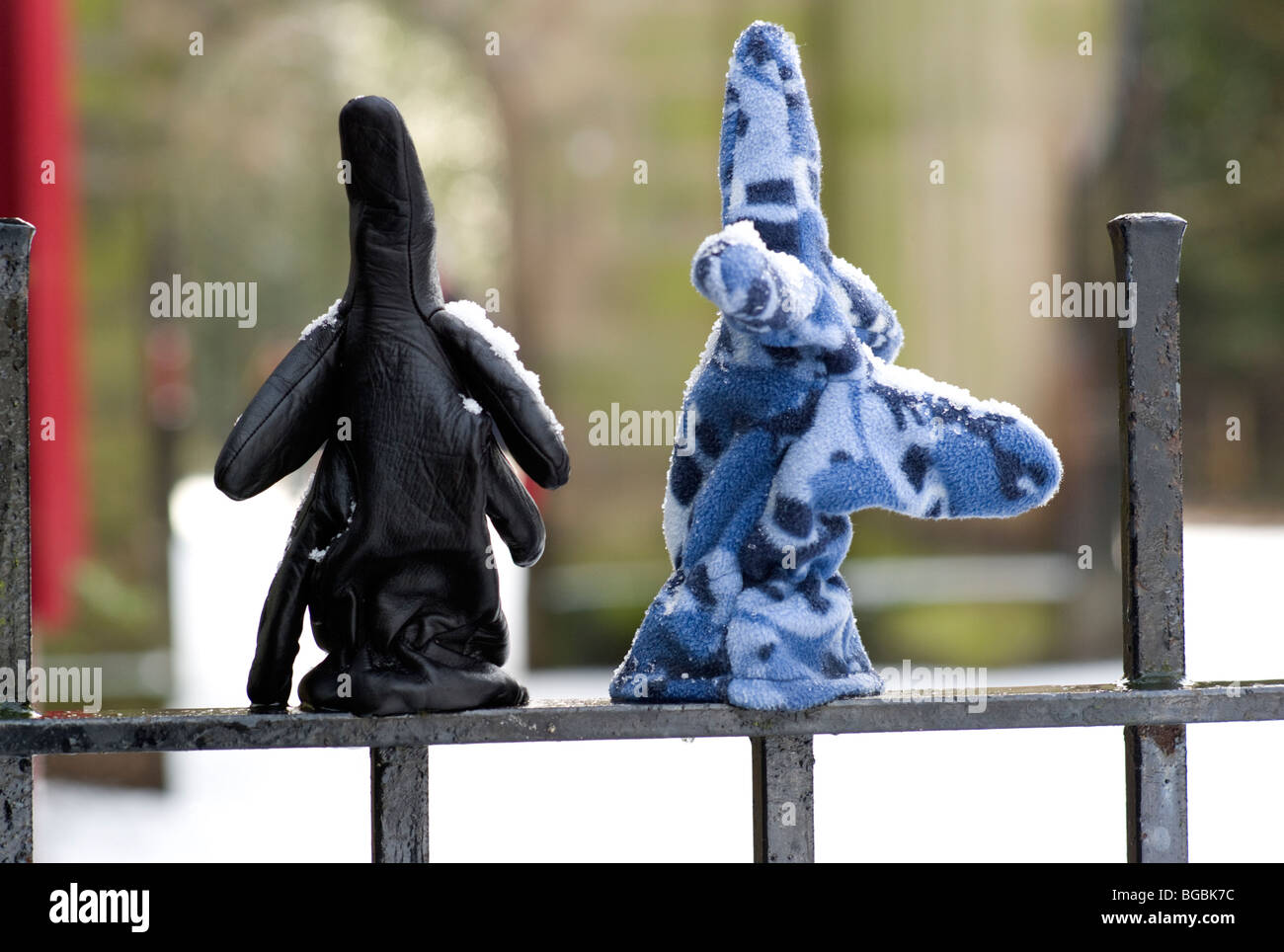 Lost gloves on railing in snow Stock Photo